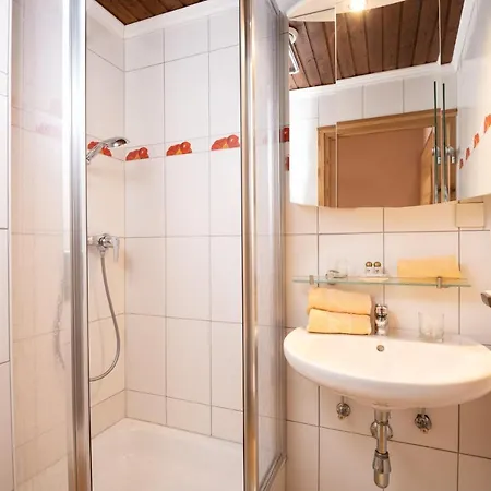 Pogoeriacherhof 3* لاتسخاش اوبر ديم اف